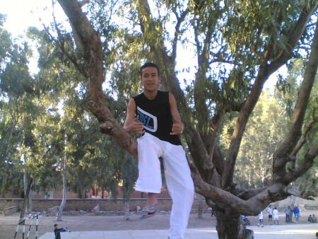 salut tous le monde